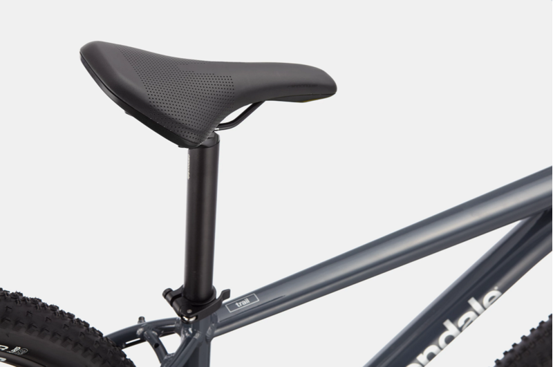 2021 Cannondale Trail 6 Mountain Bike in Grey-1